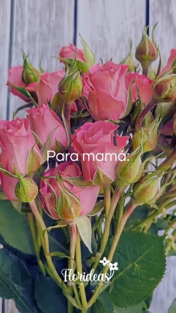 A veces no coincidimos y a veces no te entiendo… pero siempre termino dándome cuenta de lo afortunada que soy de tenerte.Gracias por tu paciencia, tu forma de cuidarme y todo ese amor que siempre está.Hoy se celebra a la mejor: mamá.¡Florideas les desea un feliz Día de las Madres! 🤍💐#FelizDíaMamá #DíaDeLasMadres #flowers #mamá #cancún