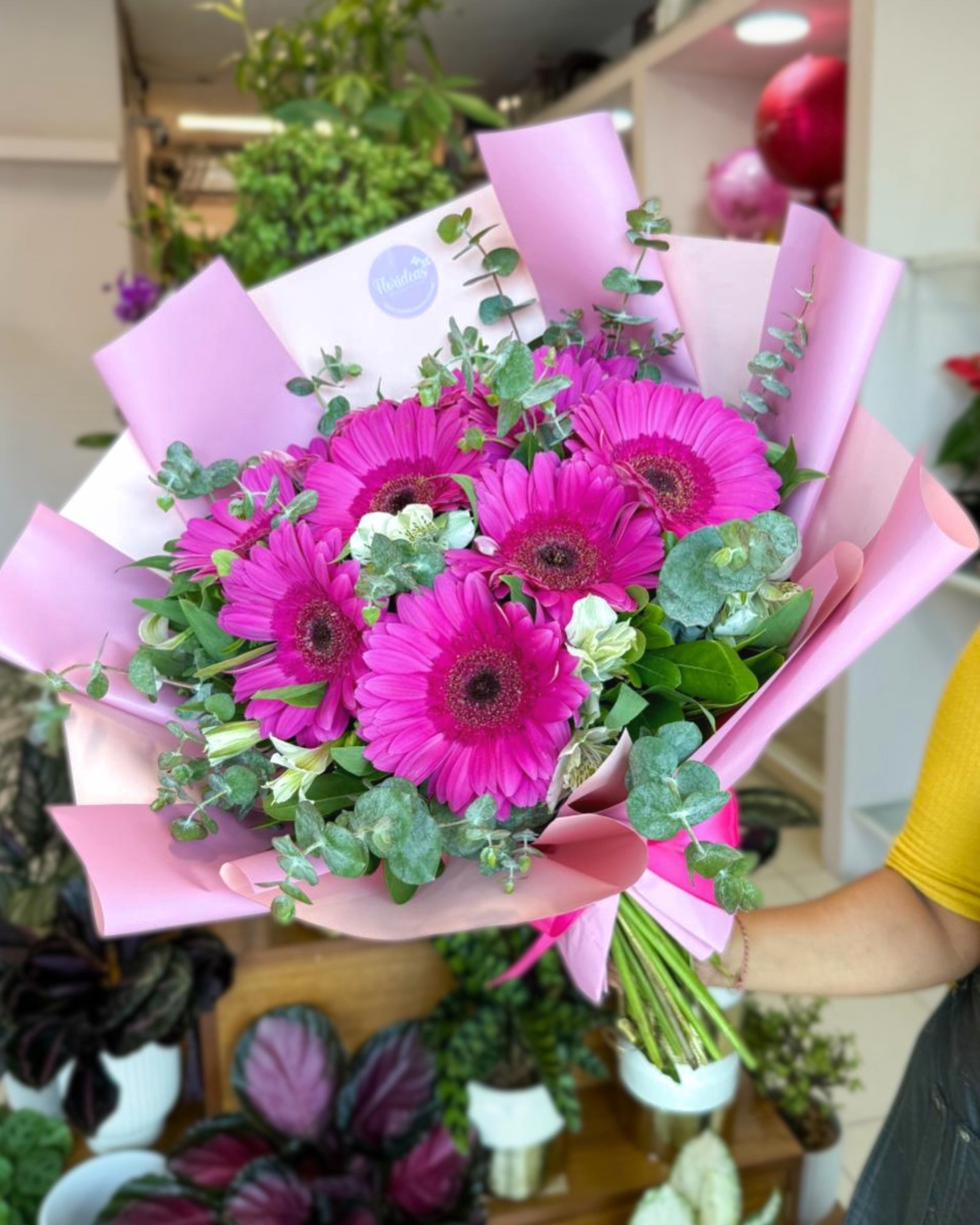 Color que alegra el día al instante 💐✨
Las gerberas son ese toque vibrante que convierte cualquier momento en algo especial.

¡Pide tu ramo de gerberas y sorprende hoy!
📲 WhatsApp: https://wa.link/s1glww
📞 (998) 287 3704
🌐 www.florescancun.com.mx

#FloresCancun #Floreriacancun #RamosDeFlores #Gerberas #EnvioDeFloresCancun #RegalosCancun #DetallesRomanticos #Cancun #flores