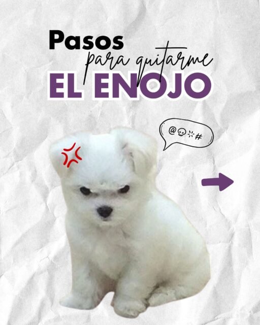 ¿Enojado/a? 😤
No lo pienses más… mejor arréglalo con flores 💐
Mándanos mensaje y agenda tu envío hoy
📲 WhatsApp: 998 167 8206 https://wa.link/s1glww
📞 (998) 287 3704
🌐 www.florescancun.com.mx
#ramosdeflores #rosas #floresadomicilio #arreglosflorales #floreriacancun #regaloselegantes #floresmexico #cancun