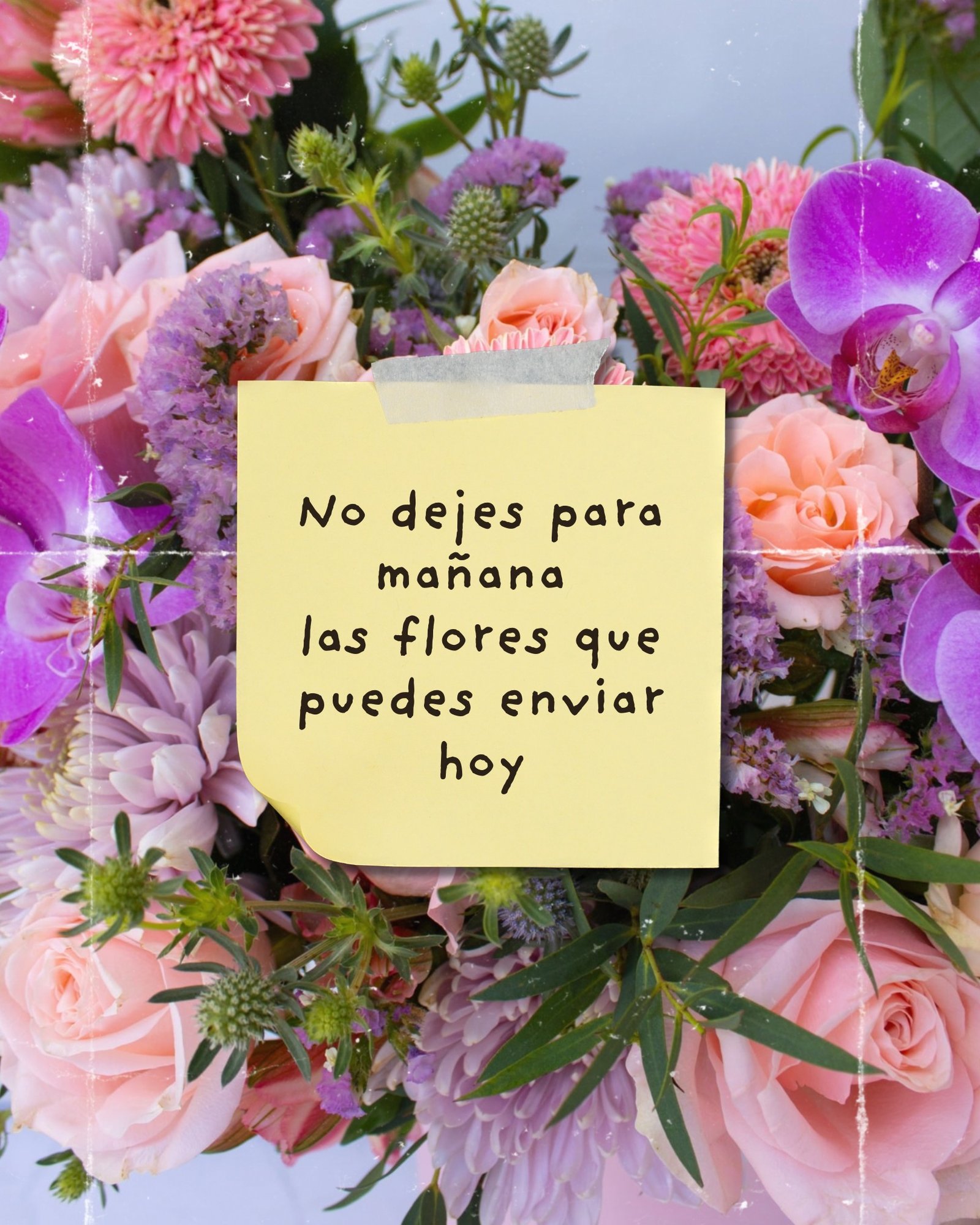 No esperes a mañana para hacer sentir especial a alguien 💐
Hoy es el momento perfecto para sorprender, agradecer o simplemente decir “estoy pensando en ti”.
¡Haz tu pedido hoy mismo!
📲 WhatsApp: https://wa.link/s1glww
📞 (998) 287 3704
🌐 www.florescancun.com.mx
#floresadomicilio #regalosconamor #arreglosflorales #sorpresasbonitas #floreriacancun #detallesqueenamoran #cancun