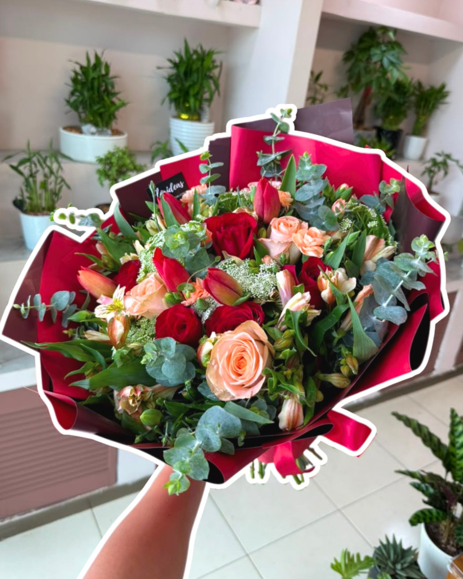 Ramo elegante con rosas rojas y tonos durazno 🌹💐

Una combinación clásica y sofisticada que transmite amor, calidez y admiración, ideal para sorprender en cualquier ocasión especial o simplemente alegrar el día de alguien.

¡Entregas a domicilio en Cancún el mismo día!
📲 WhatsApp: 998 167 8206 https://wa.link/s1glww
📞 (998) 287 3704
🌐 www.florescancun.com.mx

#floresadomicilio #ramodeflores #rosasrojas #floreriacancun #regalosoriginales #detallesromanticos #floresmexico #enviosadomicilio #cancun