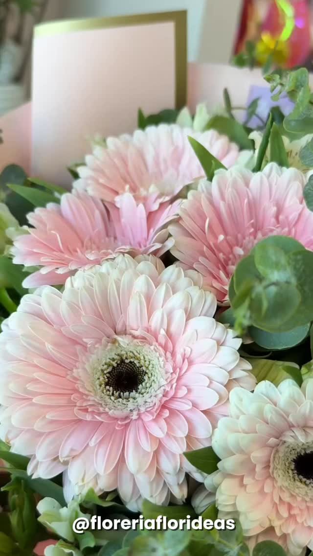 ¿Ya agendaste sus flores para desearle un buen inicio de clases?👀
Esto es un recordatorio para que no se te olvide mandarle flores💐
Y también puede ser una indirecta🤭
Para más información ¡Contáctanos!👇🏼
📲 WhatsApp: 998 167 8206 https://wa.link/s1glww
📞 (998) 287 3704
🌐 www.florescancun.com.mx
#florescancun #floresencancun #floreriacancun #florideas
