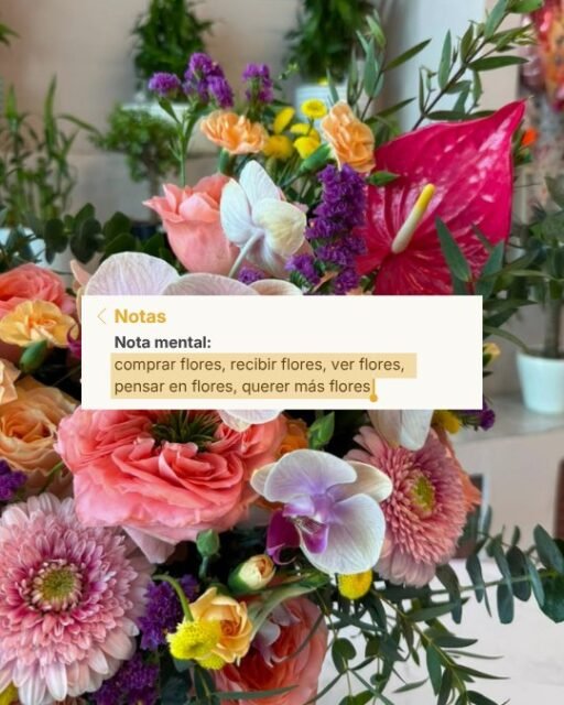 Hay cosas que simplemente mejoran el día… y las flores son una de ellas 🌷
Si también tienes una pequeña obsesión con los ramos bonitos, probablemente esta nota te representa 👀💐
¡Encuentra tu próximo ramo favorito en Florideas Cancún!
📲 WhatsApp: 998 167 8206 https://wa.link/s1glww
📞 (998) 287 3704
🌐 www.florescancun.com.mx
#Florideas #FloresCancún #FloreríaCancún #RamosDeFlores #FloresEnCancún #FloresADomicilio #FlowerLover #cancun