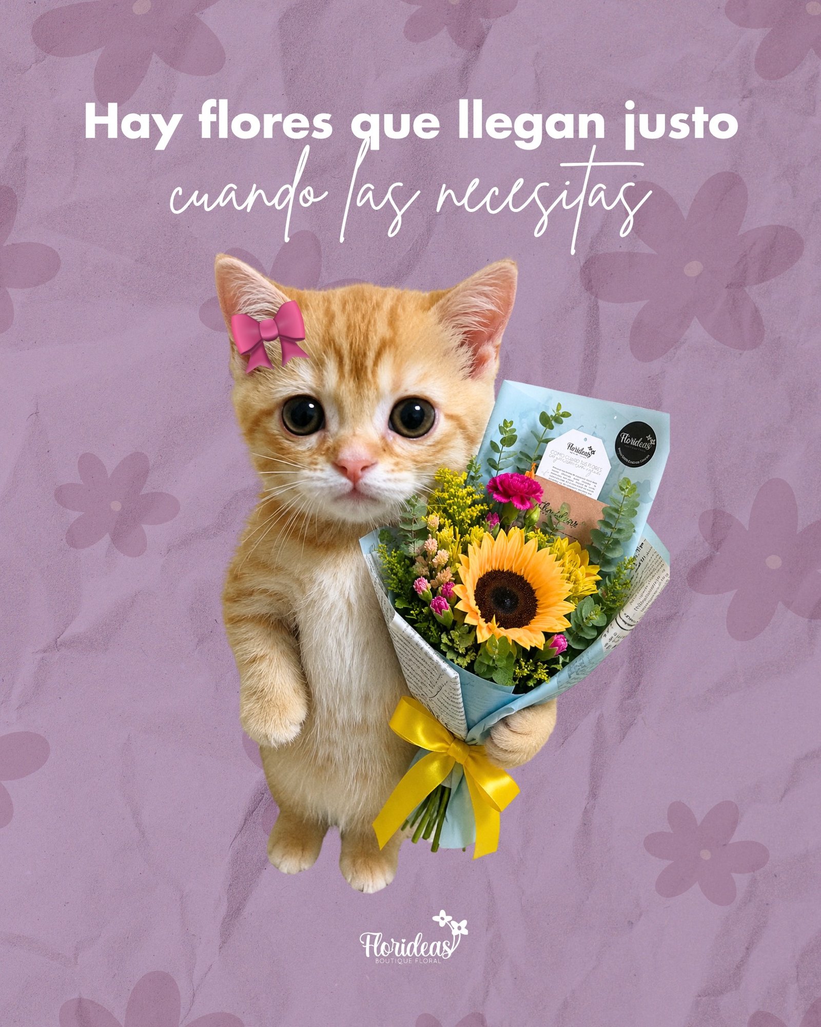 Hay momentos que simplemente piden flores 💐
Para celebrar, acompañar o hacerle saber a alguien que estás ahí, un arreglo floral siempre encuentra la ocasión perfecta.

Escríbenos y elige el detalle ideal
📲 WhatsApp: 998 167 8206 https://wa.link/s1glww
📞 (998) 287 3704
🌐 www.florescancun.com.mx

#floresadomicilio #arreglosflorales #floreriacancun #ramosdeflores #florescancun #regalosconflores #detallesespeciales