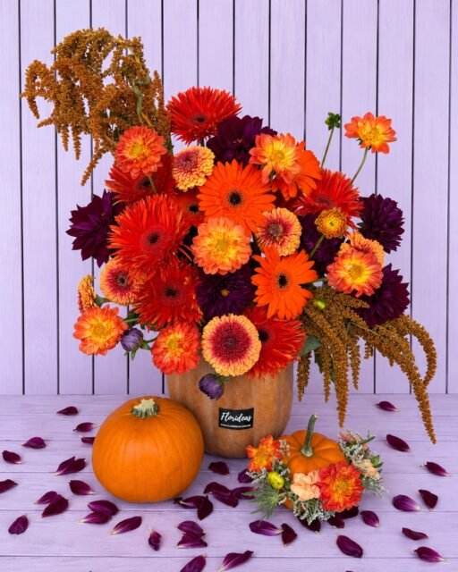 ¡El otoño llegó y viene en forma de flores! 🍂🎃 

La magia del otoño también florece y este arreglo floral otoñal es perfecto para decorar, regalar o llenar cualquier espacio de color 🧡🍁

Agenda hoy y lleva un pedacito de otoño a casa:
📲 WhatsApp: 998 167 8206
📞 (998) 287 3704

🚚 Entregas a domicilio en Cancún.

#Otoño2026 #ArreglosFlorales #FloresDeOtoño #FloreriaCancun #FloresADomicilio #DecoracionOtoñal #FloresCancun #cancun