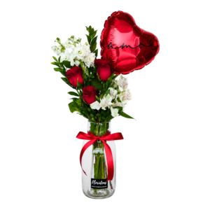 AMOR MIO
