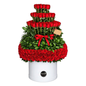 CAKE PREMIUM BOX