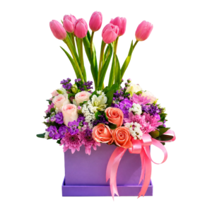 TULIP PREMIUM BOX